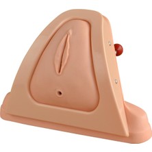 EgeAnatomi Maketleri Perine Kesme ve Dikiş Eğitim Simülatörü 36x34x26 cm Pratik Eğitim Aracı