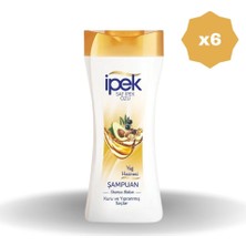 Head&Shoulders Ipek Yağ Hazinesi Şampuan 450 ml - (6 Adet)