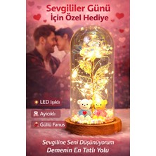 Mdstech Sevgililer Günü Hediyesi LED Işıklı Güllü Cam Fanus Ayıcık Romantik Dekor