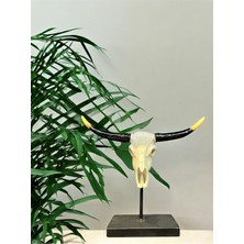 NuN Studio Boynuz Biblo