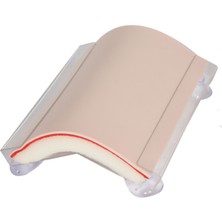 EgeAnatomi Maketleri Sütu R Atma Pedi, Standlı - Sütu R Atma Maketi