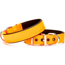 Pazarcan Köpek Tasması Softlu 3 cm x 65 cm Tcu