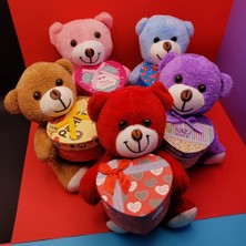 Kutulu Peluş Ayıcık