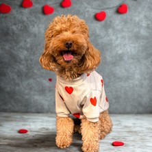 Maia Studio Puppy Love Köpek Sweatshirt (Gri Kalp Desenli)