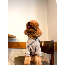Maia Studio Lumi Yaka Detaylı Köpek Sweatshirt (Bej)