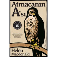 Hatıra Kutusu Atmacanın A'sı