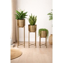 Valda Metal Gold Eskitme Saksılık Çap 20 cm Boy 75-60-45 cm
