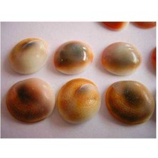 PremiumPort Yılancık Taşı Seti, 33 Parça, Doğal Kristal Takı ve Dekorasyon Aksesuarları