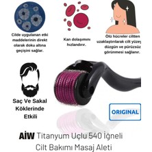 PremiumPort 0.5 mm Titanyum Dermaroller, 540 Iğne, Saç, Sakal ve Cilt Bakım Tarağı