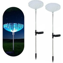 Novytech PM-21643 7 Renkli Solar Bahçe Aydınlatma