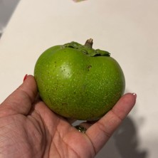 Çikolata Meyvesi 500 gr