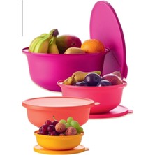 Özbience Pratik Saklama Kabı Seti 4'lü, Çeşitli Boyutlar, Dayanıklı ve Şık