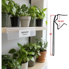 Şeffaf Ahşap Önü Etiketliği H:4 - (Pakette 10 Adet)
