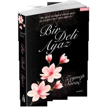 Getittir Bir Deli Ayaz