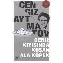 Getittir Deniz Kıyısında Koşan Ala Köpek