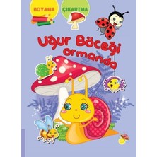 Getittir Uğur Böceği Ormanda