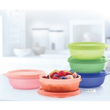 Özbience 300 ml Şeker Kaplar Seti, 5'li Kamp ve Kahvaltılık Saklama Kabı