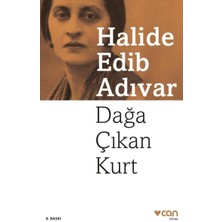 Getittir Dağa Çıkan Kurt