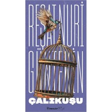 Getittir Çalıkuşu (Yeni Kapak)