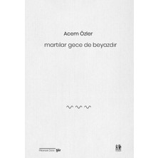 Getittir Martılar Gece De Beyazdır