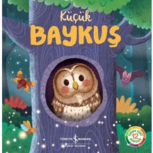 Getittir Küçük Baykuş
