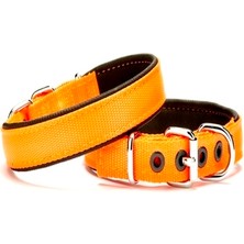 Pazarcan Softlu Köpek Boyun Tasması 2 cm x 40 cm Tcu