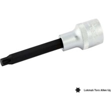 Yüksek Kaliteli 1/2 T25 Lokmalı Torx Uç, Güç ve Dayanıklılık