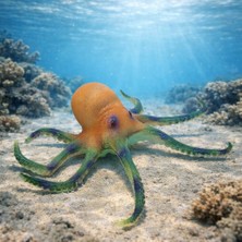 Getittir Deniz Hayvanları Serisi - Ahtapot 26 cm (Lisinya)