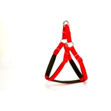 Wovna Köpek Bel Tasması 70CM Large Kırmızı