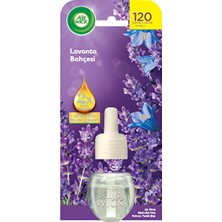 Air Wick Elektrikli Kit Yedek Lavanta Bahçesi 19 ml 3 Adet