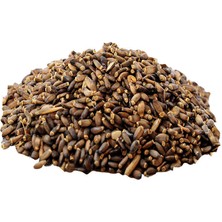 Wovna Devedikeni Tohumu Doğal Tane 1000 gr Paket