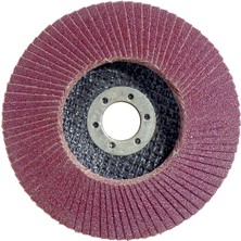 Bosch 125 mm 60 K X431 Alox Flap Disk, Yüksek Performanslı ve Dayanıklı