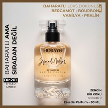 Norayn By Daevon Spiced Amber Erkek Parfüm 50 ml Edp – Amber & Vanilya Baharatlı Koku, Yoğun ve Kalıcı Imza