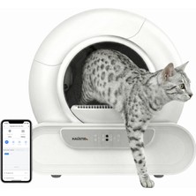 Haustier MSP08 Akıllı Otomatik Kedi Tuvaleti, App ile Uzaktan Kontrol, 65LT Hazne, Uv Sterilazyon, Ağırlık Sensörlü