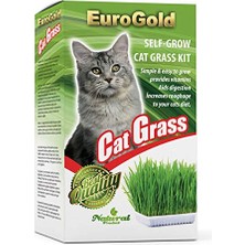 Hepta Collection Eurogold 4514001 Kedi Çimi, Sindirime Yardımcı, Ekstra Vitamin