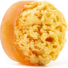 Hepta Collection Dionesse Deniz Süngerli Reishi Mantarı Sabunu 140 gr | Cildi Yenileyen 100% Doğal El Yapımı Sabun