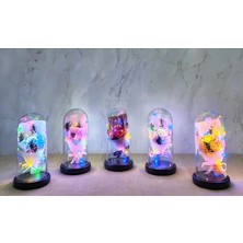 Işıklı Müzikli Fanus Içinde Gül Buketi