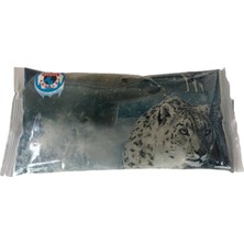 Özbience Jel Içerikli 500 gr Buz Aküsü, 10 Adet Paket, Güç ve Dayanıklılık