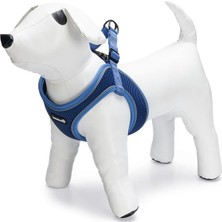 Delixa Köpek Göğüs Tasması, Neopren, Mavi, M, 41-46CM