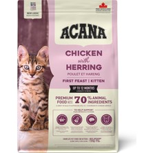 Delixa Feast Kuru Yavru Kedi Maması, 1.8 Kg, Her Boydan Cins Için