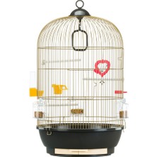 Delixa Diva Sari - Pirinç Kafes