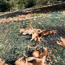 Delixa Morilu Fındık Toplama Filesi -%40'lık Kenarları Düz Yeşil File - Filesi - Bahçe Çevirme Filesi - 1 M