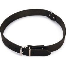 Delixa Deri Evcil Hayvan Boyun Tasması, 27 Cm-10 Mm, Siyah