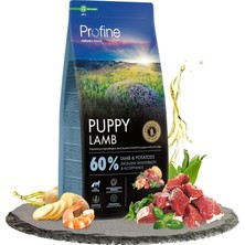 Delixa 12KG Gluten Free Puppy Lamb Glutensiz Kuzu Etli Yavru Köpek Maması