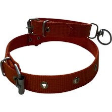 Delixa Orta Boy Köpek Tasması Turuncu 50