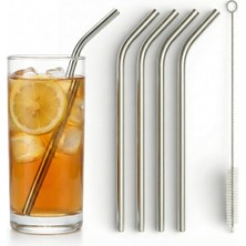 Delixa Çelik Pipet Paslanmaz Çelik Metal Meşrubat Pipeti ve Pipet Temizleme Fırçası Seti 5 Parça