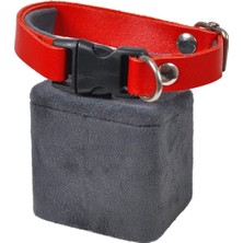 Delixa Hakiki Deri Kedi Köpek Tasması Kırmızı Renk