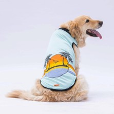 Delixa Pawstar Mint Sunrise Büyük Köpek Tişörtü - Köpek Kıyafeti (15 Kg-45 Kg) 5xl