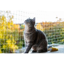 200X800 cm Balkon ve Kedi Filesi, Çocuk Güvenliği ve Kuş Koruma Seti