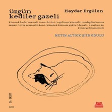 Nerm Üzgün Kediler Gazeli